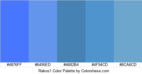 Rakos1 Color Colors Logo