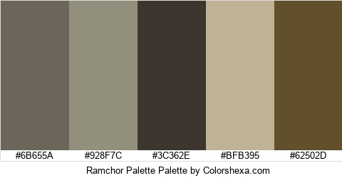 Ramchor Palette Colors Logo