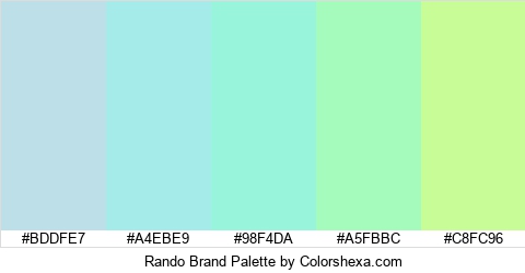 Rando Brand Colors Logo