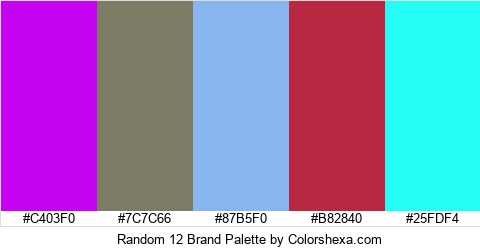 Random 12 Brand Colors Logo