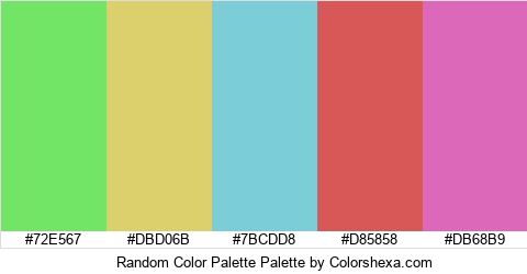 Random Color Palette Colors Logo