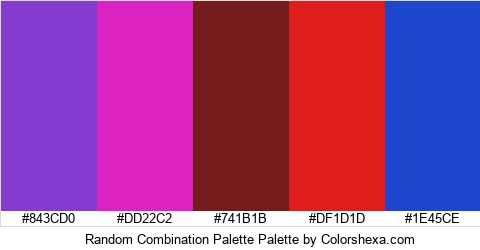 Random Combination Palette Colors Logo