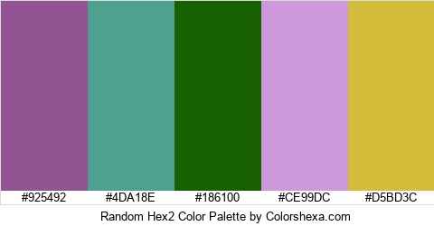 Random Hex2 Color Colors Logo