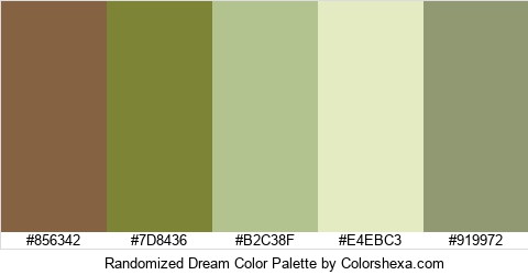 Randomized Dream Color Colors Logo