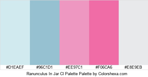 Ranunculus In Jar Cl Palette Colors Logo
