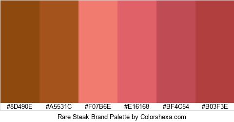 Rare Steak Brand Colors Logo