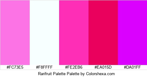 Rarifruit Palette Colors Logo