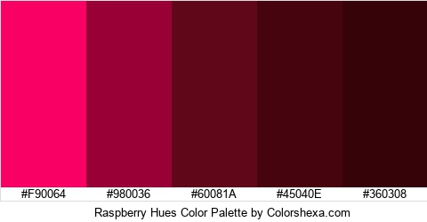 Raspberry Hues Color Colors Logo