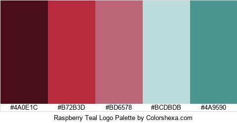 Raspberry Teal Logo Colors Logo