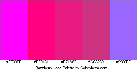 Razzberry Logo Colors Logo
