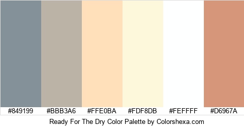 Ready For The Dry Color Colors Logo