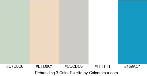 Rebranding 3 Color Colors Logo