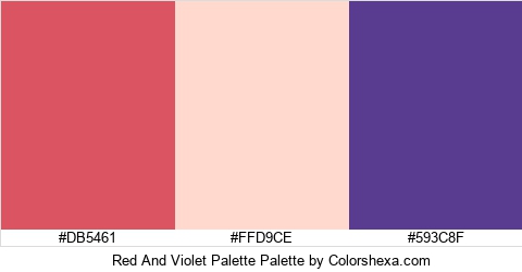 Red And Violet Palette Colors Logo