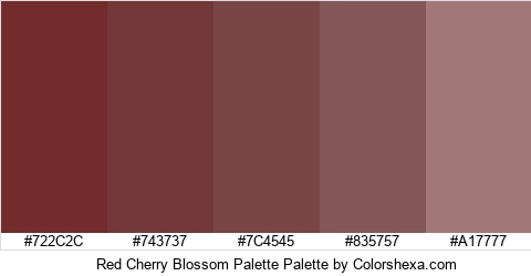 Red Cherry Blossom Palette Colors Logo