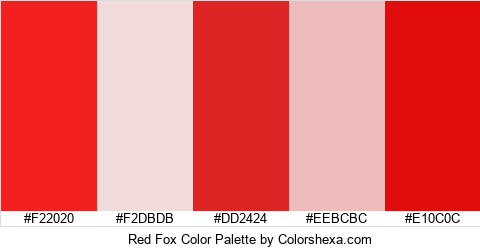 Red Fox Color Colors Logo