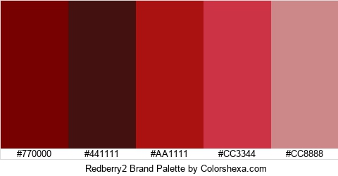 Redberry2 Brand Colors Logo