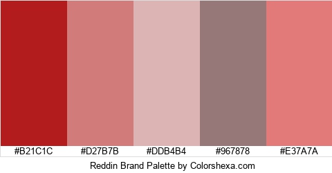 Reddin Brand Colors Logo