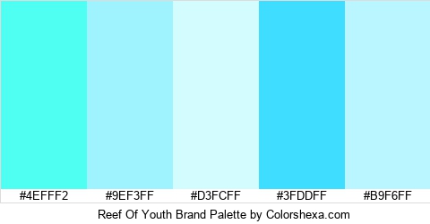 Reef Of Youth Brand Colors Logo