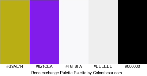 Renotexchange Palette Colors Logo
