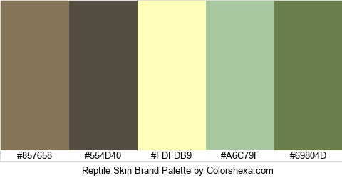 Reptile Skin Brand Colors Logo