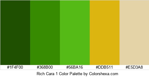 Rich Cara 1 Color Colors Logo