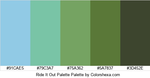 Ride It Out Palette Colors Logo