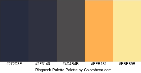 Ringneck Palette Colors Logo