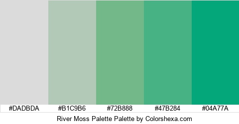 River Moss Palette Colors Logo