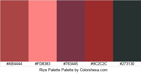 Rize Palette Colors Logo