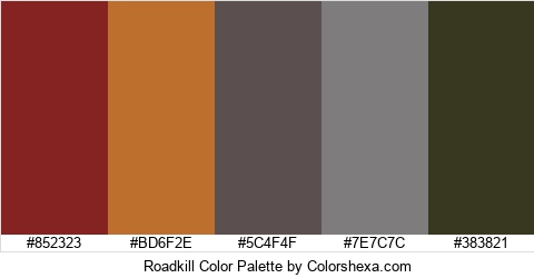 Roadkill Color Colors Logo