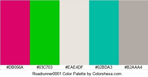 Roadrunner0001 Color Colors Logo