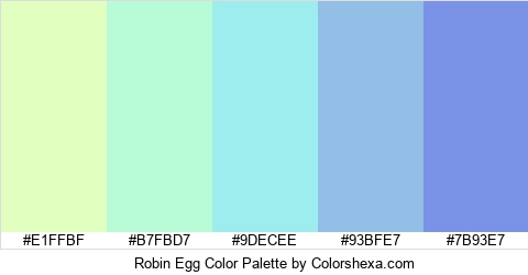 Robin Egg Color Colors Logo