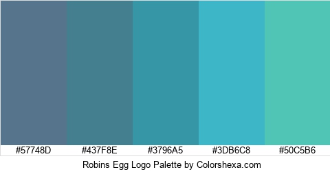 Robins Egg Logo Colors Logo