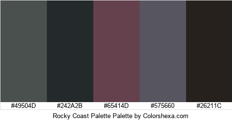 Rocky Coast Palette Colors Logo