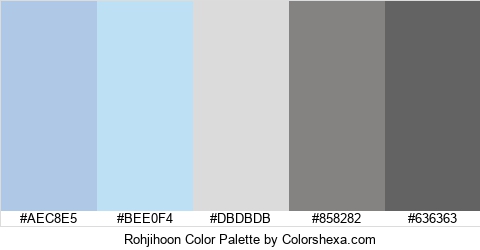 Rohjihoon Color Colors Logo