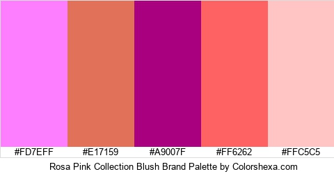 Rosa Pink Collection Blush Brand Colors Logo