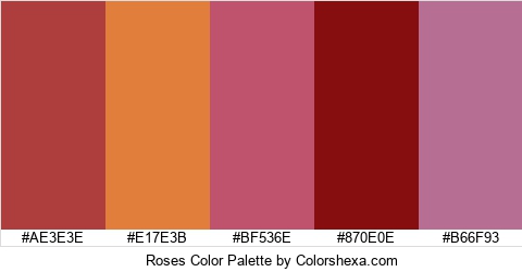 Roses Color Colors Logo