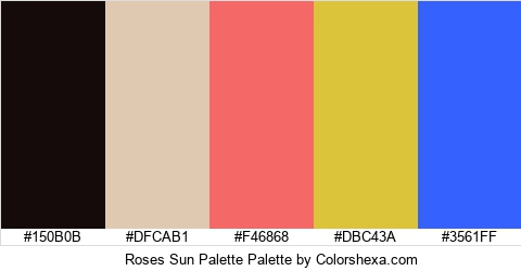 Roses Sun Palette Colors Logo