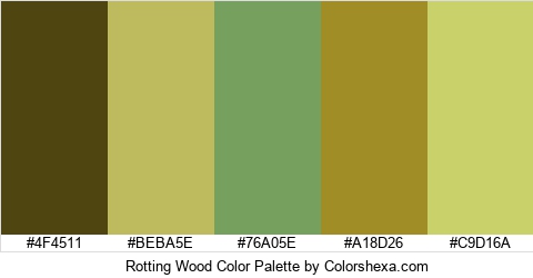 Rotting Wood Color Colors Logo