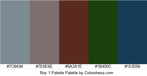 Roy 1 Palette Colors Logo