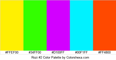 Rozi #2 Color Colors Logo