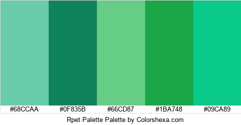 Rpet Palette Colors Logo