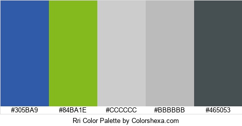 Rri Color Colors Logo