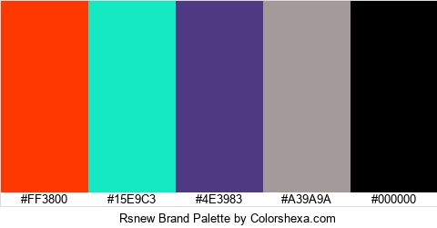 Rsnew Brand Colors Logo