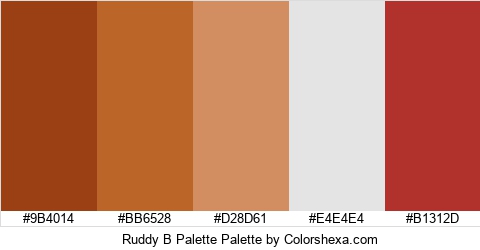 Ruddy B Palette Colors Logo