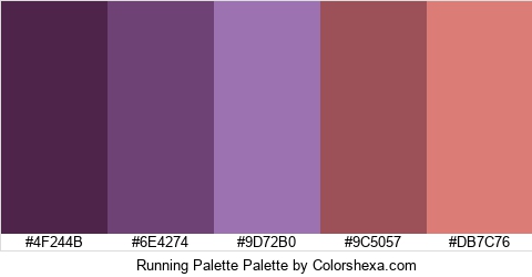 Running Palette Colors Logo