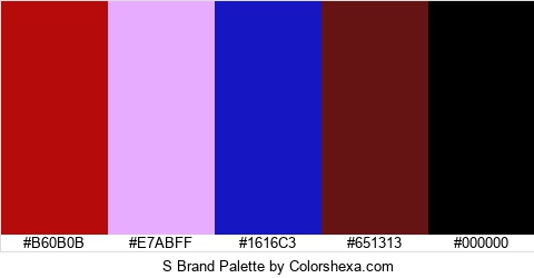 S Brand Colors Logo