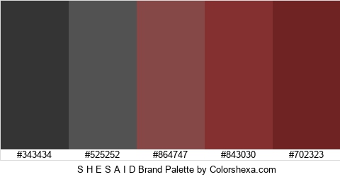 S H E S A I D Brand Colors Logo