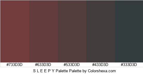S L E E P Y Palette Colors Logo