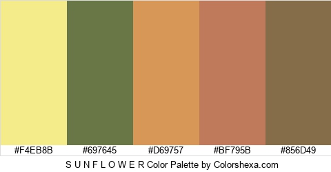 S U N F L O W E R Color Colors Logo